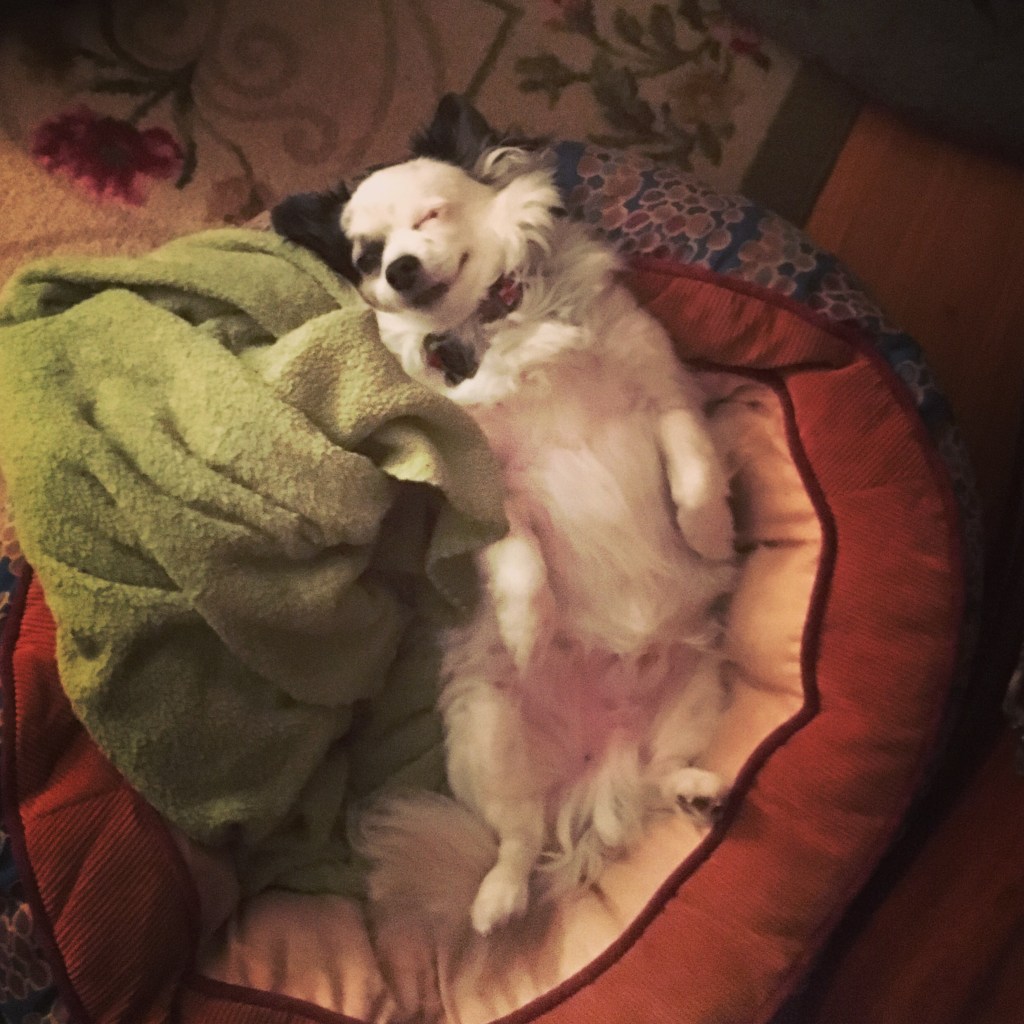 Why Your Housecoat Should Have a&nbsp;Hood…