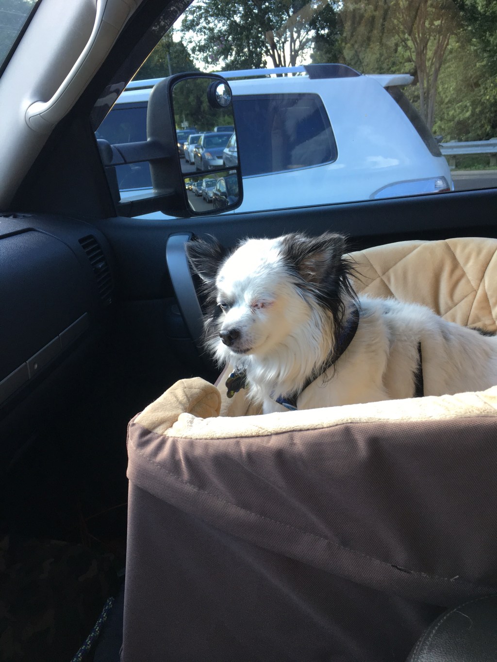 Sleep is a cruel&nbsp;mistress